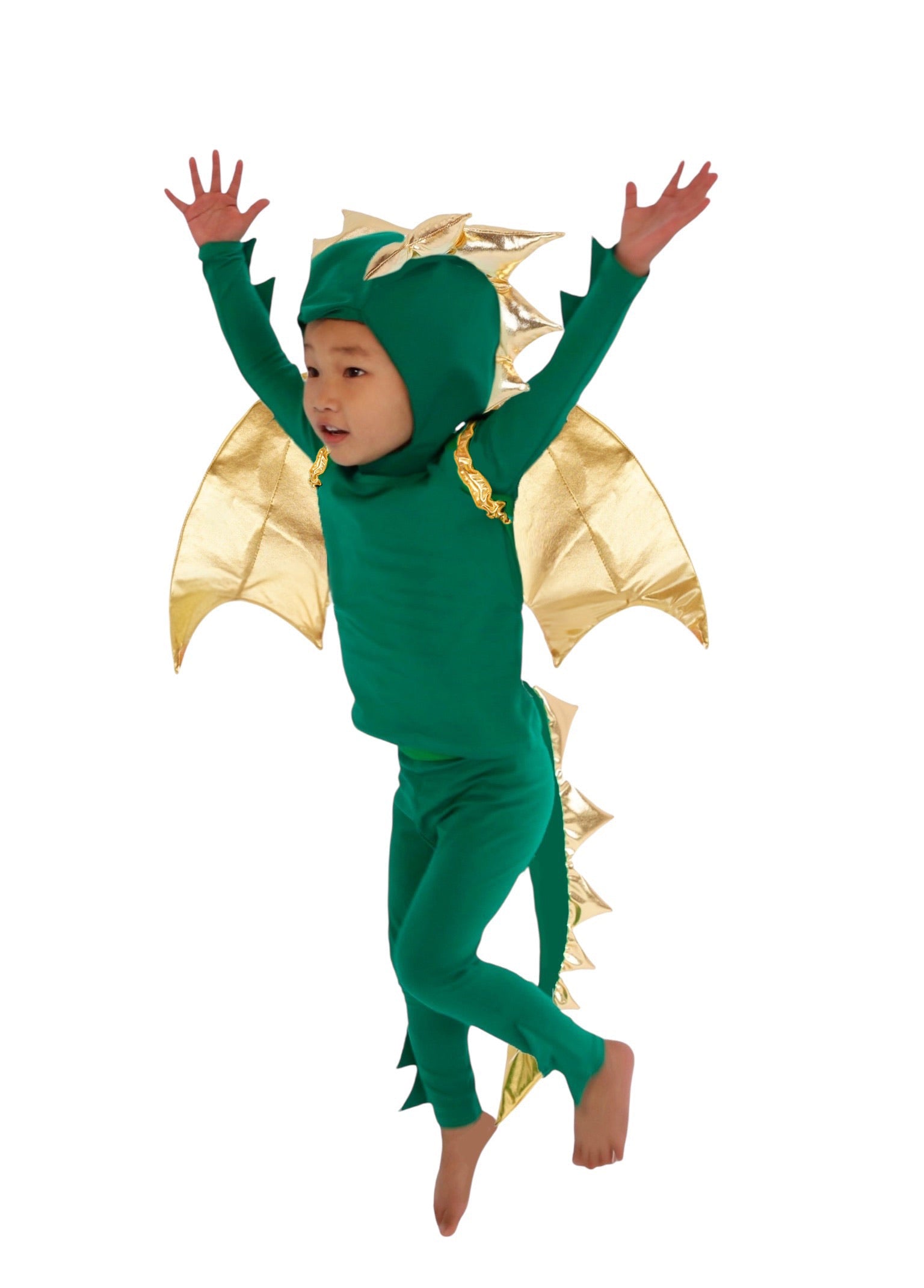 Emerald Sky Dragon Costume