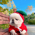 Cute Fruit Dog Clothes for Small Dogs Hoodies Winter Warm