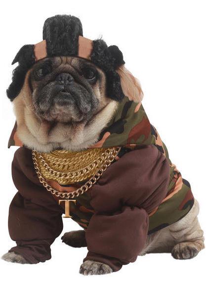 Pity the Fool Pet Costume