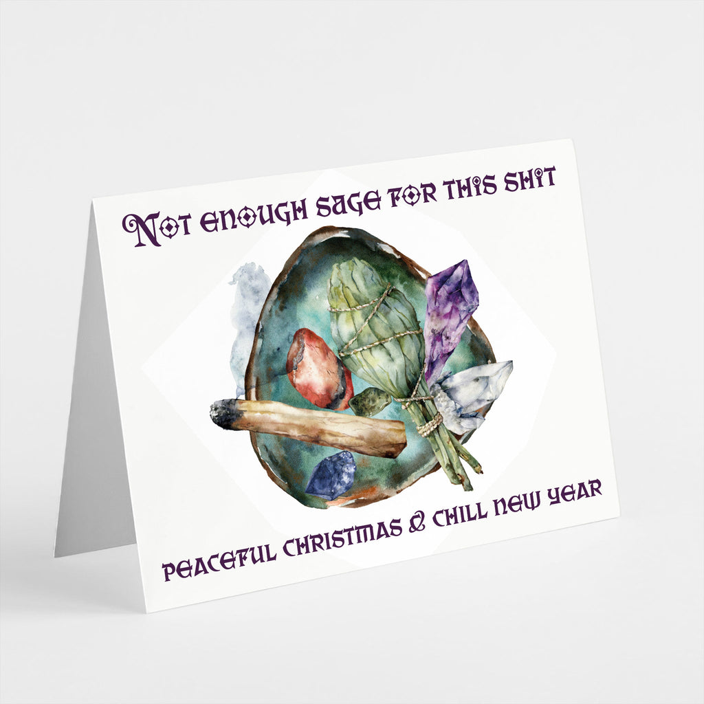 Funny Christmas and New Year Greeting Cards, Set of 24