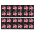 2014 Star-Spangled Banner Forever Postage Stamps – 100 Count
