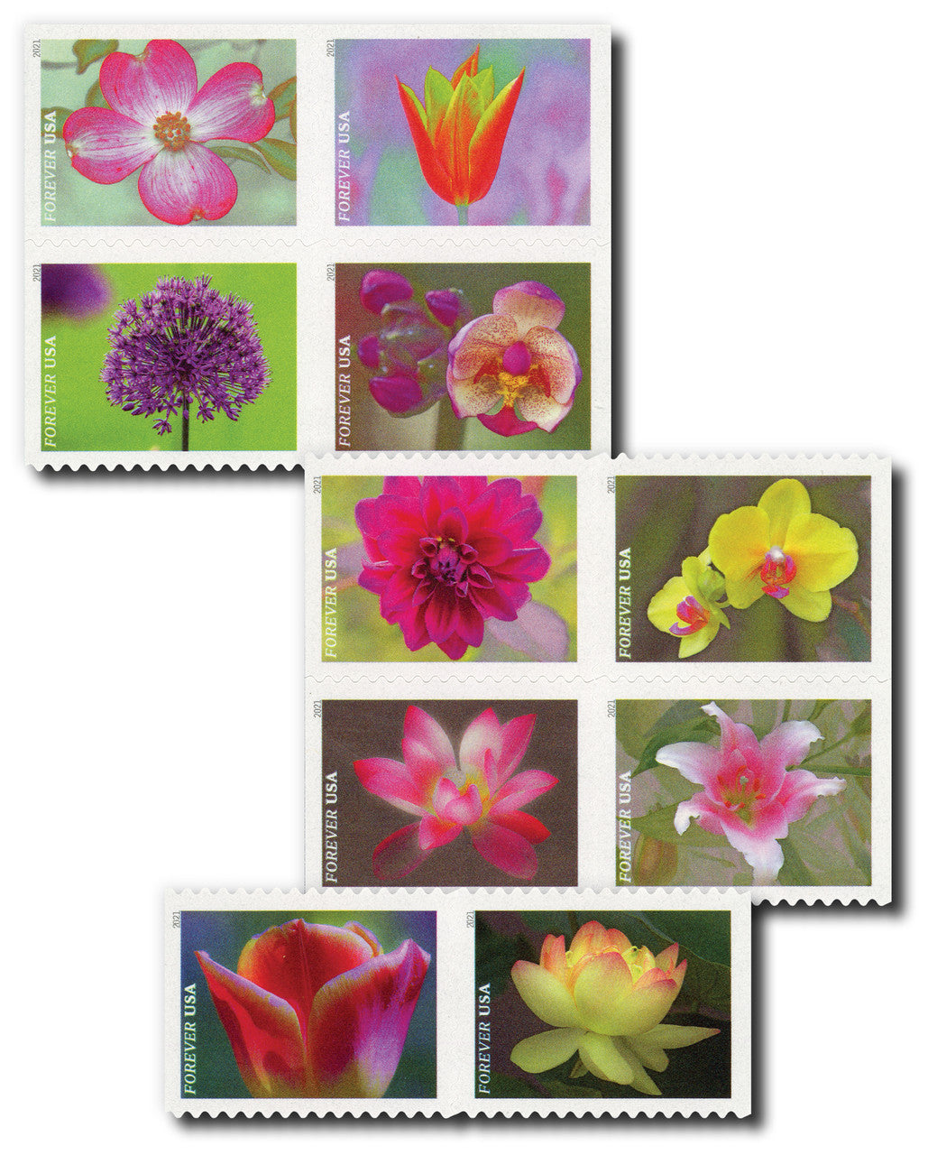 2021 Garden Beauty Forever Postage Stamps – 20 or 100
