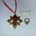 Dracula Accent Costume Kit Medallion Glow in the Dark Plastic Fangs & Skull Ring