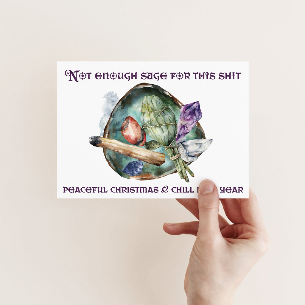 Funny Christmas and New Year Greeting Cards, Set of 24