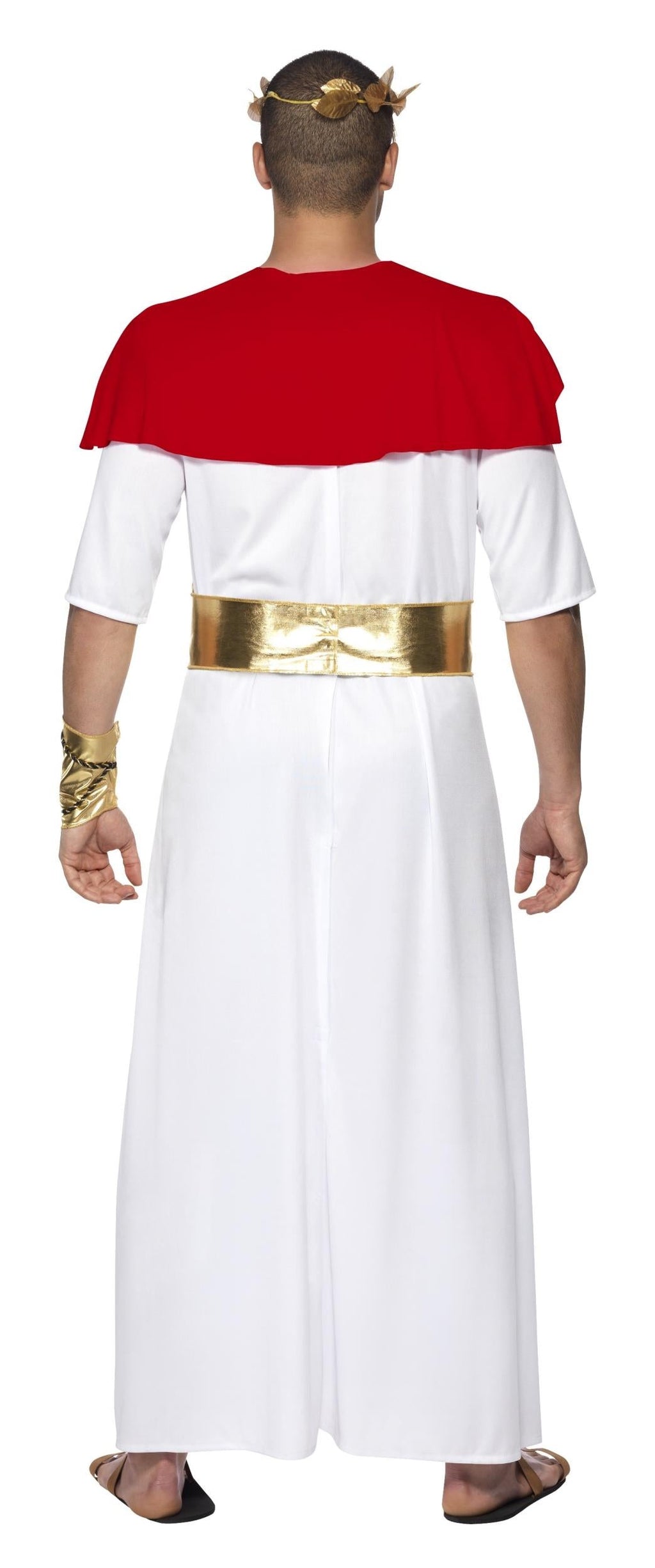 Romulus the King Adult Toga Roman Costume Large