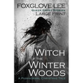 The Witch of the Winter Woods: Large Print: A Paranormal Christmas Tale - Paperback