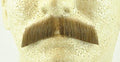 Light Brown Human Hair Gentleman Moustache 2011