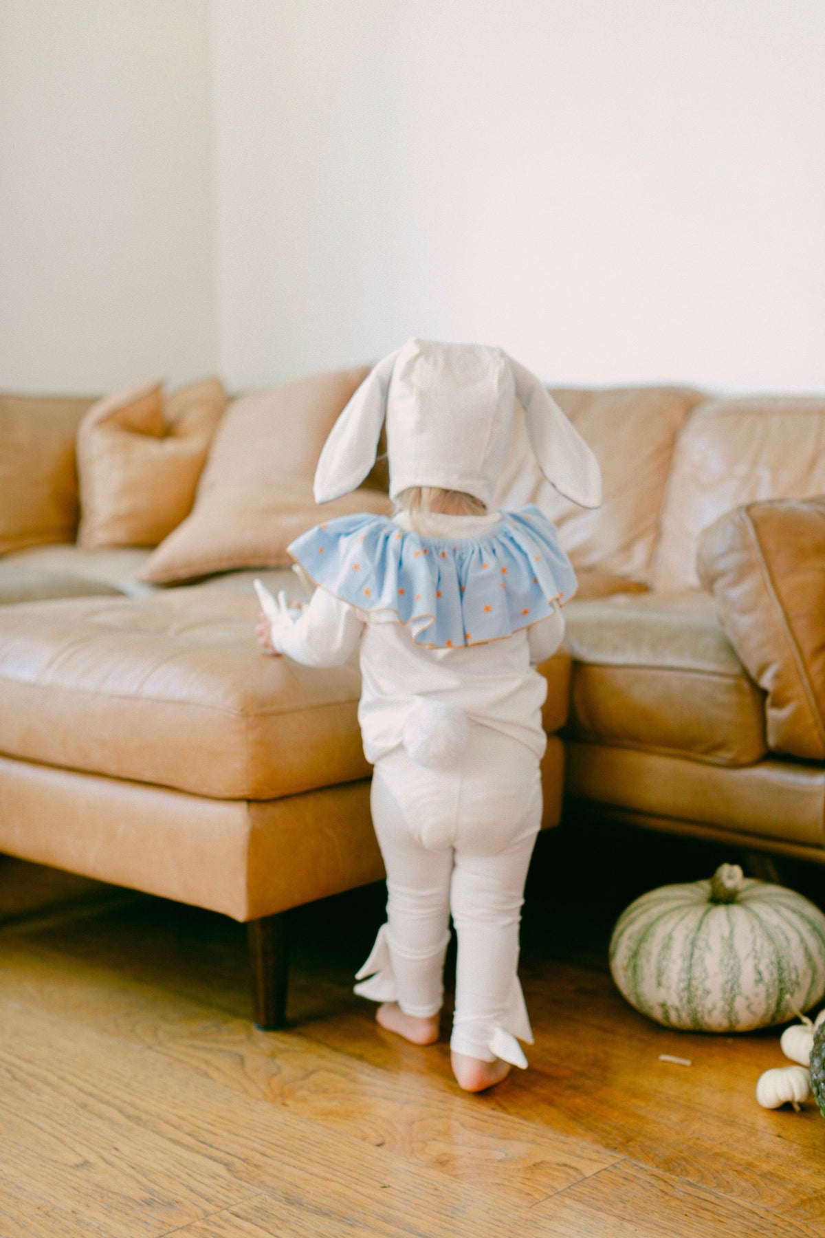 Circus Bunny  Costume