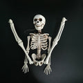 Halloween skeleton skeleton