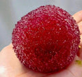 Slush ball squishy