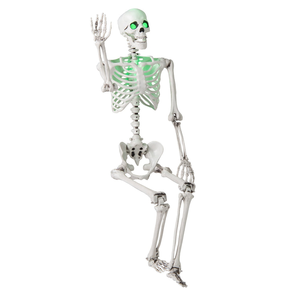 5.5 FT Halloween Skeleton Life-Size Posable for Indoor Outdoor Decoration