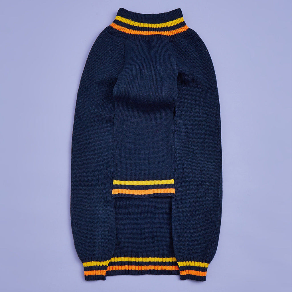 New Halloween Pumpkin Pet Sweater In Blue