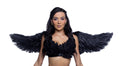 Stunning Feathered Wings