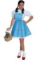 Wizard of Oz Dorothy Women's Costume