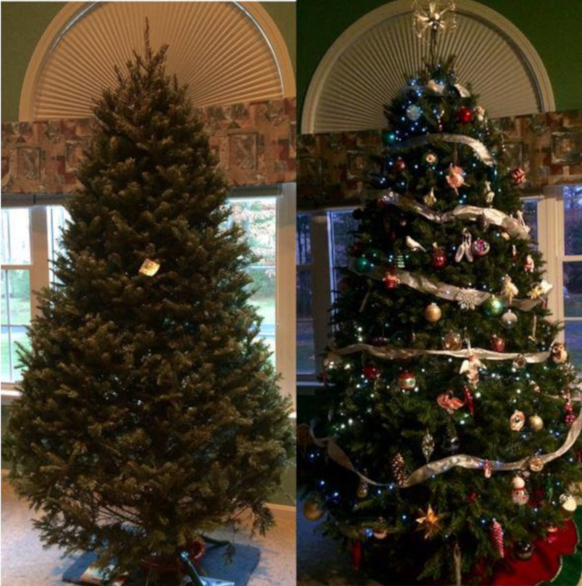 Real Christmas Trees Delivered 8 Foot Premium Balsam Fir Christmas Tree