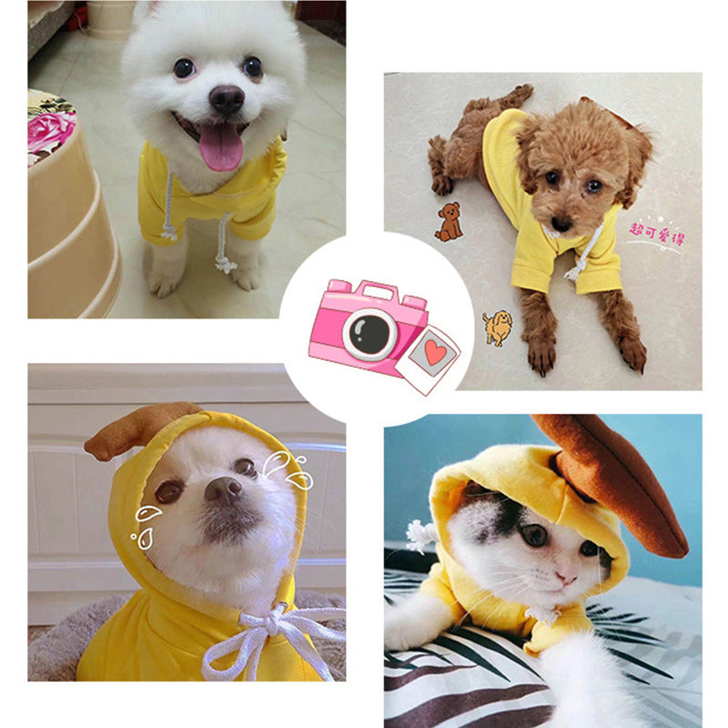 Cute Fruit Dog Clothes for Small Dogs Hoodies Winter Warm