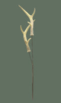24" Antler Pick