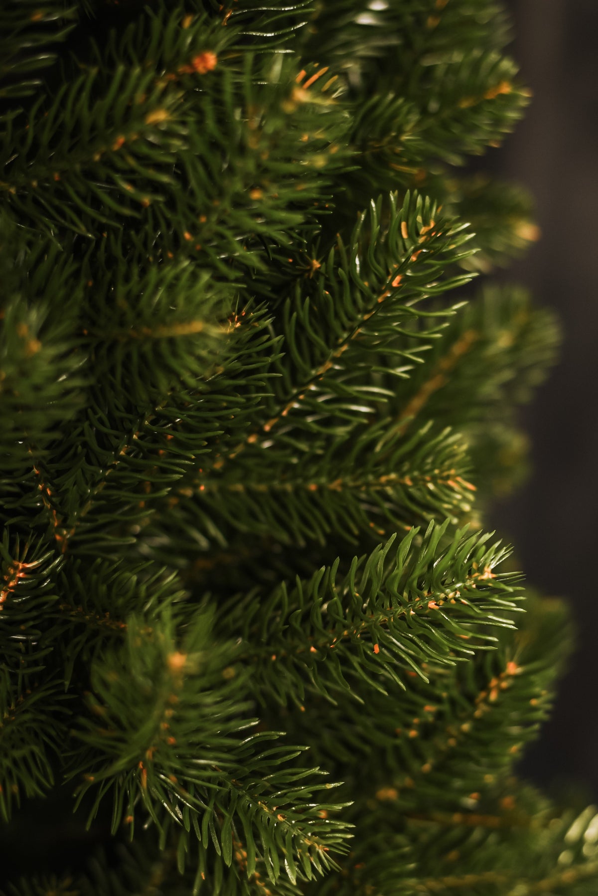 Classic Slim Artificial Christmas Tree, 5.9–7.5 ft, 100% PE