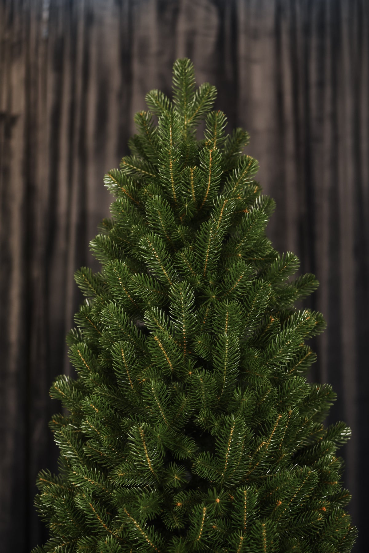 Classic Slim Artificial Christmas Tree, 5.9–7.5 ft, 100% PE
