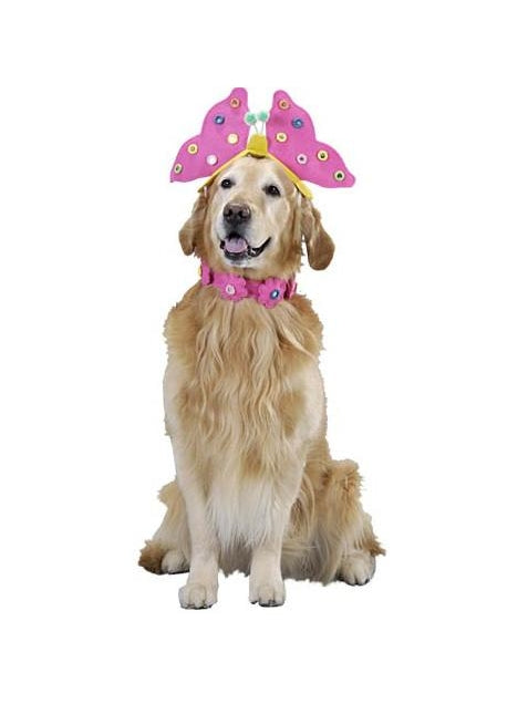 Butterfly Dog Costume