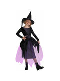 Child's Fairytale Witch Costume