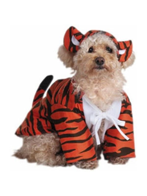 Raja The Tiger Dog Costume