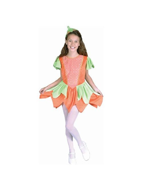 Child's Pumpkin Princess Costume