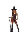 Women's Sexy Orange Spider Witch Halloween Costume (Junior Sizes)