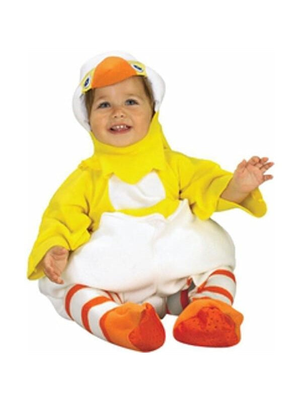 Baby Hatching Chicken