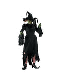Adult Tattered Witch Costume