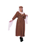 Plus Size Medieval Maiden Costume