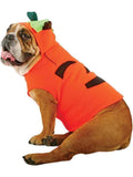 Pumpkin Dog Costume