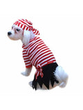 Pirate Dog Costume