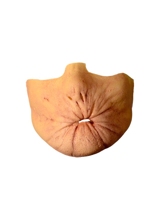 Preacher Arseface Costume Appliance Kit