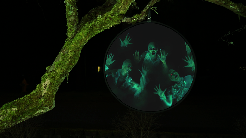 Decorating Disc XL