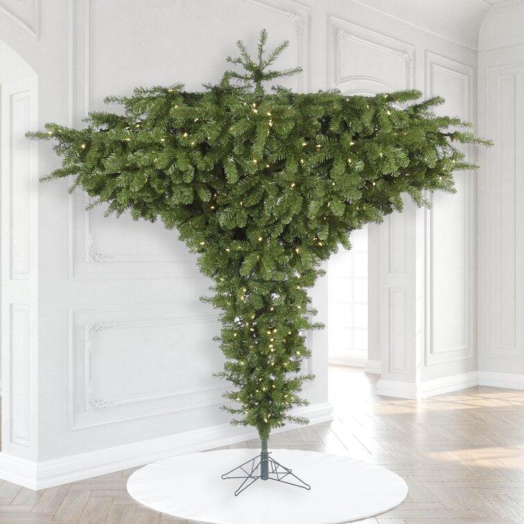 Douglas Fir Christmas Tree with White Lights