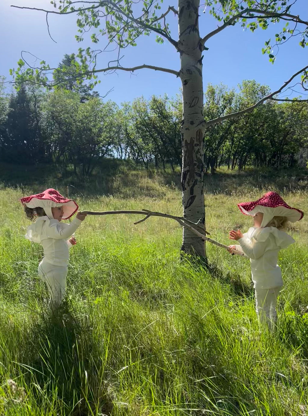 Mushroom Costume - Toadstool