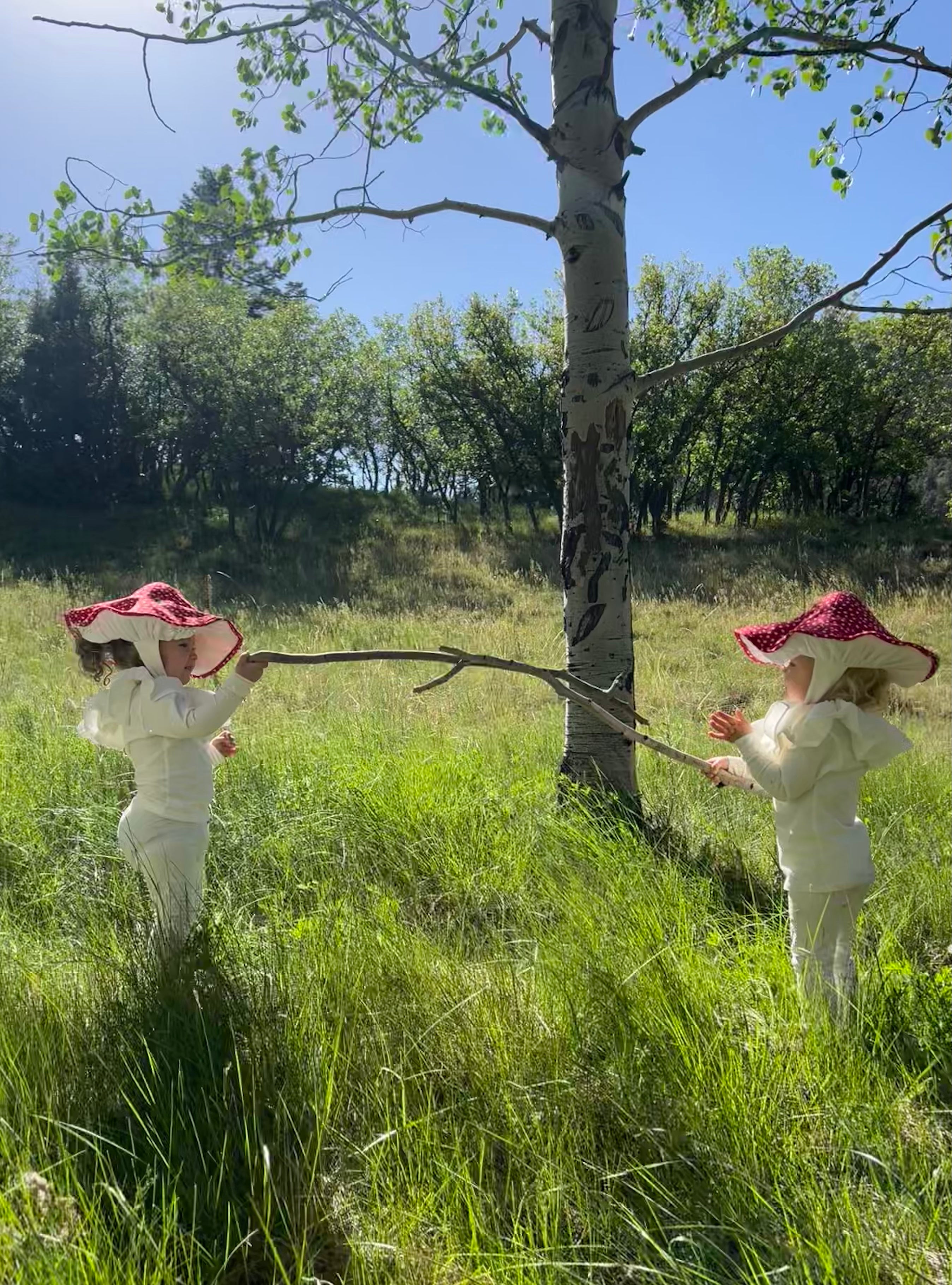 Mushroom Costume - Toadstool
