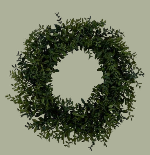 24" Wild Boxwood Wreath
