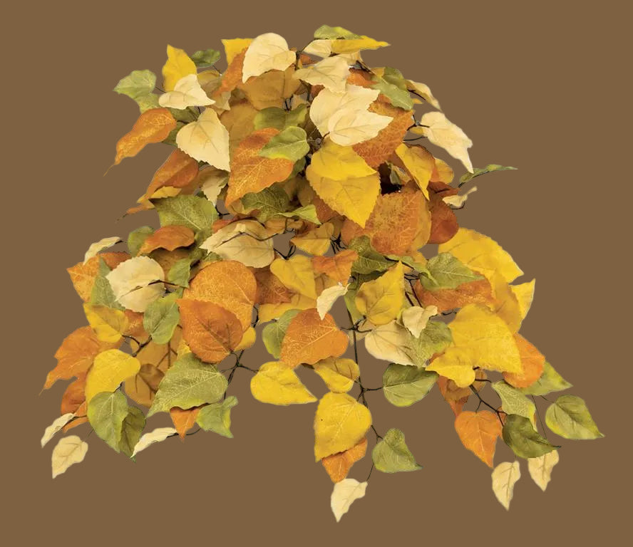Witch Hazel Leaf Bush/Vine Stem