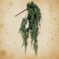 Juniper Dripping Garland
