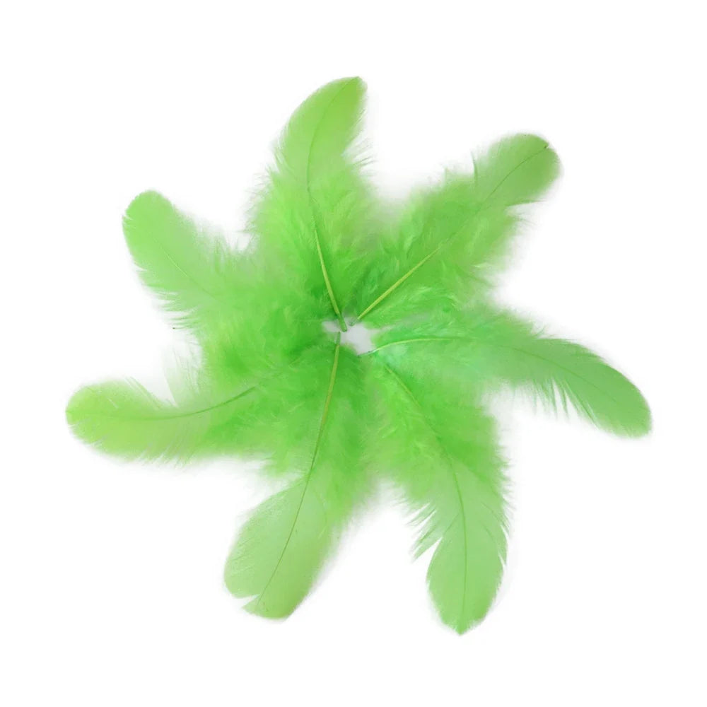 Natural Rooster Craft Feathers Bulk Lot