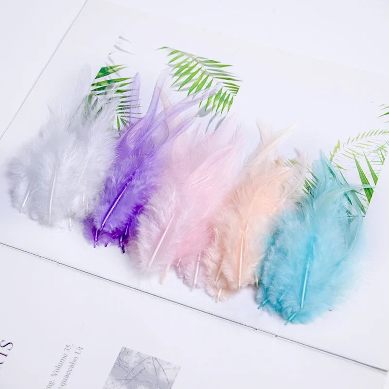 Natural Pheasant & Chicken Craft Feathers Bulk Lot