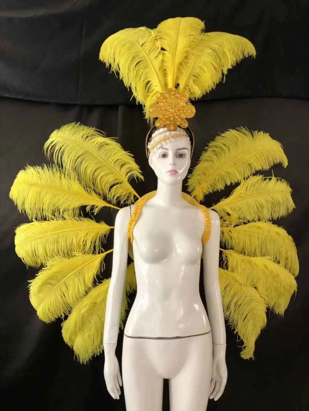 Feather Backpiece and Plume Headdress Set