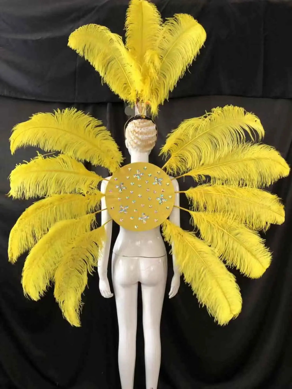 Feather Backpiece and Plume Headdress Set