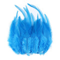 Natural Pheasant & Chicken Craft Feathers Bulk Lot