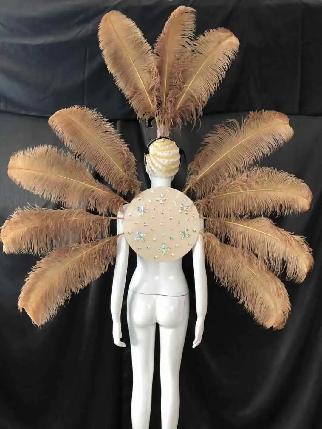 Feather Backpiece and Plume Headdress Set