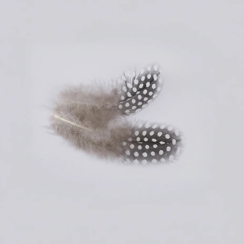 Natural Spotted Guinea Fowl Feathers 100PC