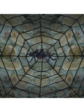 Spiderweb with Spider Prop