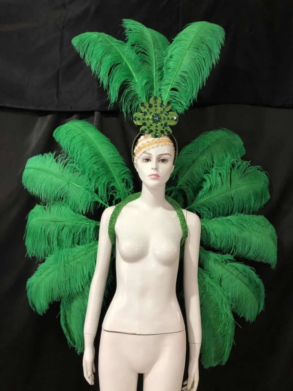 Feather Backpiece and Plume Headdress Set
